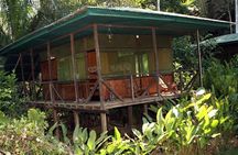 3-Day Amazon from Puerto Maldonado with Eco Lodge Accommodation