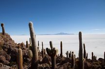 Uyuni Salt Flats Full Day Tour