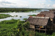 3-Day Amazon Jungle Adventure from Iquitos