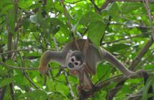 5-Day Cuyabeno Amazon Eco-Lodge Adventure