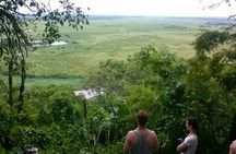 6-Day Pantanal & Bonito Experience