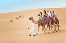 Best Dubai Desert Safari-Dune Bashing & Camel Riding with BBQ & Belly Dance Show