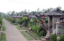 Full Day Kintamani and Penglipuran Village Private Chartered Car Tour from Bali