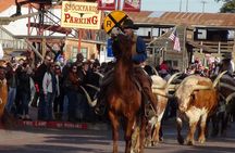 Small-Group Dallas and Fort Worth City Sightseeing Tour