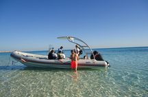 Private Speedboat Tour From Hurghada