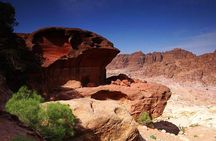 Petra Sightseeing 1 Day Tour From Sharm El Sheikh