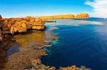 Ras Mohammed & White Island Snorkeling Tour by boat from Sharm El Sheikh