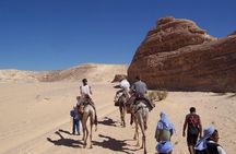 White Canyon 1-Day Camel Safari from Dahab