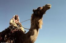 Two Days Camel Safari from Dahab