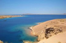 Ras Mohammed From Sharm El Sheikh by a private car
