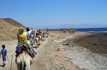 Ras Abu Galum & Blue Hole Snorkeling Tour from Taba