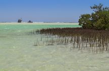 Nabq National Park Day Tour from Dahab