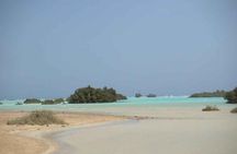 Nabq National Park Day Tour from Dahab