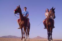 Horse Riding in Dahab