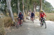 Half-Day Hong Kong Cycling Tour Including Dim Sum Lunch