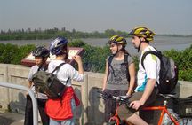 Half-Day Hong Kong Cycling Tour Including Dim Sum Lunch