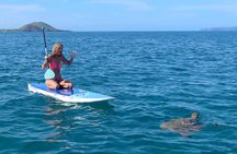  Private Beginner Paddleboard Lesson with Snorkel in Turtle Town!