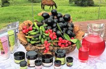 Adventure &Taste Atherton Tablelands Food & Wine Tour from Cairns