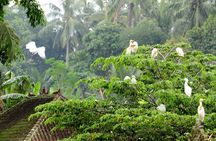 Half Day Ubud Tour: Ubud Unique Spots