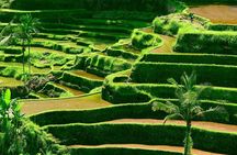 Private Shore Excursion: Customized Best of Bali Tour