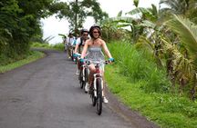 Half-Day Ubud Rice Field and Village Cycling Tour
