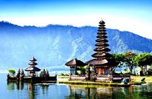 Full-Day Tour to Water Temples and UNESCO Rice Terraces in Bali