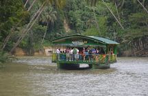 Bohol Island Countryside Tour with Buffet Lunch River Cruise (Cebu or Bohol)