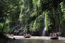Full-Day Ayung River White Water Rafting and Ubud Tour