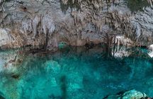 Private Tour Turtle Experience and Cenote Swim