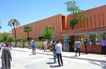 Day tour to Karnak, Luxor Temple and 2 Luxor city Museums