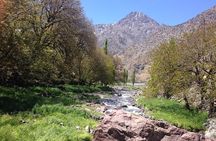 Atlas Mountains, waterfalls and Berber Villages with a guide