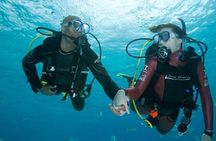 2 Dive Package for PADI Qualified Divers in Gran Canaria