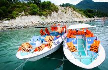 Cham Island Trip by Speed Boat including Snorkeling from Hoi An or Da Nang