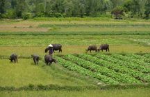 Half-Day Hoi An Countryside and Villages Tour by Bike