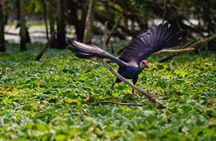 Full day: Hoi An - Bach Ma National Park