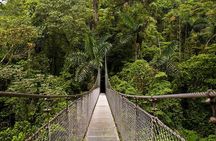 Full day Tour with Hanging Bridges, Waterfall and Volcano Hike