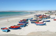 Cape West Coast Full Day Private Day Tour