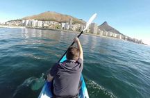 Sea Kayak and Cape Point Private Tour from Cape Town