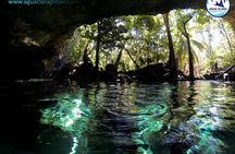 2 dives in Cenote Dos ojos Certified Divers
