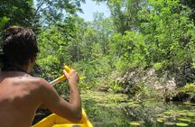 Tankah Park Five Cenotes Adventure Tour from Tulum