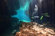 Discover Scuba Diving in Tulum