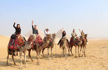 Discover Giza Pyramids, Sakkara & Memphis With Private Guide & Lunch & Camel Inc