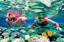 Reef Snorkel, underwater adventure in Puerto Morelos With Transportation & Lunch