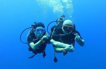 Koh Chang Dive Trip Including 3 Dives (Start at Koh Chang)