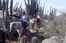 Private Sunset Horseback Ride
