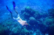 8-Hour Private 40' Yacht 2-Stop Tour to Palancar Beach w/ Food, Drinks & Snorkel