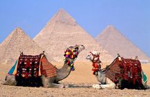 Over Day Cairo by Bus Pyramids and Museum from Sharm el Sheikh