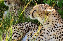 2-Day Safari to Lake Manyara and Crater Ngorongoro from Arusha