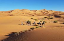 Desert tour 3 days from Fes to Marrakech