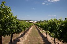 Chef’s 4-Course Wine Country Experience